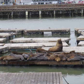 PIER 39 - Shopping Centers Near Me - San Francisco, California PIER 39 - Shopping Centers Near Me - San Francisco, California