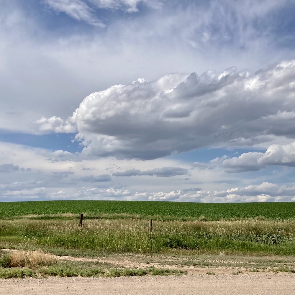 Koa Lakeside - Beautiful view exiting park - RV Parks Near Me - Fort Collins, Colorado Koa Lakeside - Beautiful view exiting park - RV Parks Near Me - Fort Collins, Colorado