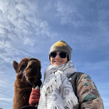 SunCrest Orchard Alpacas - My son with Jack - Ranches Near Me - Palisade, Colorado