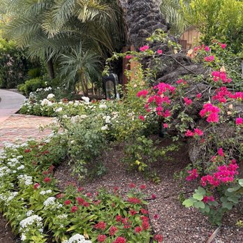 Royal Palms Resort And Spa - One of many pathways- - Day Spas Near Me - Phoenix, Arizona