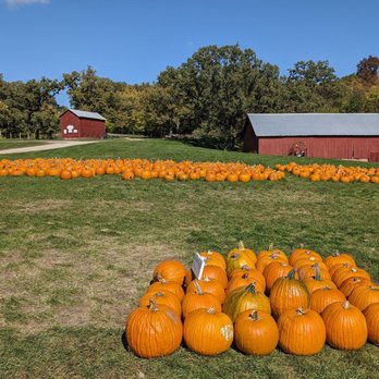 Dollinger Family Farm - Pumpkin Patches Near Me - Channahon, Illinois