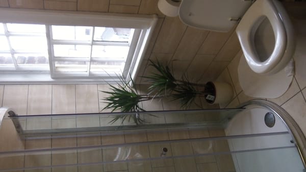 Vagabonds Belfast by null