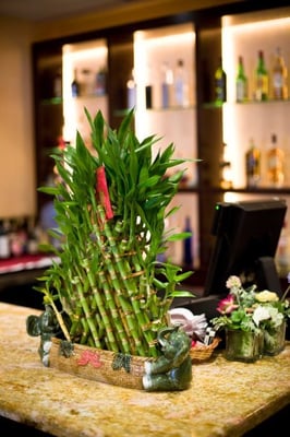 Moon Palace Express by null Moon Palace Express by null