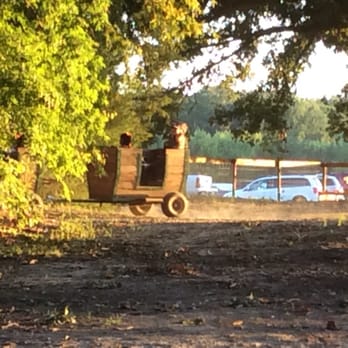 YesterLand Farm - Pumpkin Patches Near Me - Canton, Texas