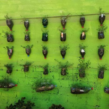 La Cabana - Live this wall of herbs. - Mexican Near Me - Punta de Mita, NAY