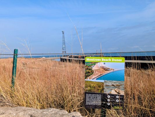 Montrose Point Bird Sanctuary by null