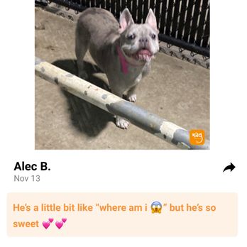 Wag Hotels - Denver - Pet Boarding Near Me - Denver, Colorado Wag Hotels - Denver - Pet Boarding Near Me - Denver, Colorado