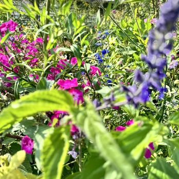Jardins et Maison de Claude Monet - Planting - Museums Near Me - Giverny, 27