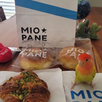 Miopane - Bakeries Near Me - Pasadena, California Miopane - Bakeries Near Me - Pasadena, California