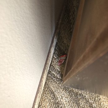 La Quinta by Wyndham Glen Rose - Left from previous room occupants. - Hotels Near Me - Glen Rose, Texas La Quinta by Wyndham Glen Rose - Left from previous room occupants. - Hotels Near Me - Glen Rose, Texas
