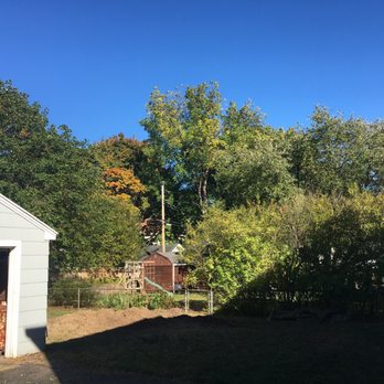 Flower City Tree - After removal - Tree Services Near Me