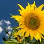 Photo of Have A Better Day