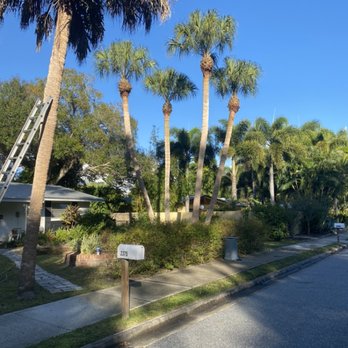 Rexrode Tree Service - Tree Services Near Me Rexrode Tree Service - Tree Services Near Me