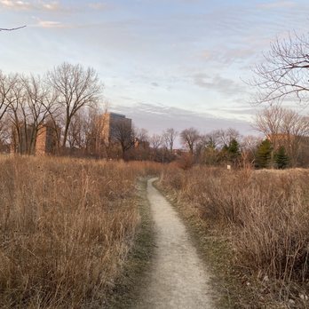 South Shore Nature Sanctuary - Path through the sanctuary - Parks Near Me - Chicago, Illinois South Shore Nature Sanctuary - Path through the sanctuary - Parks Near Me - Chicago, Illinois