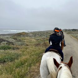 Ricochet Ridge Ranch - Beach ride