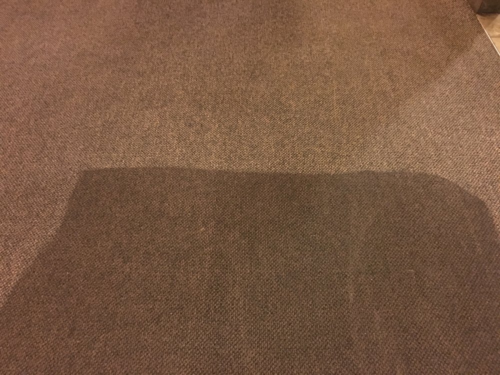STEAMERS CARPET CLEANING Updated September 2024 139 TIlla Dr, Kelso