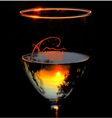 Ankida Ridge Vineyards by null