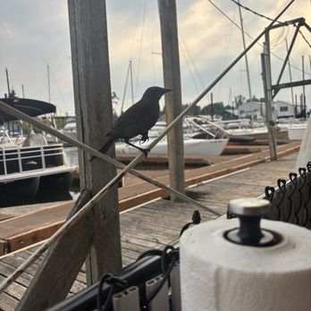 The Deck - Bird - Seafood Near Me - Portland, Oregon
