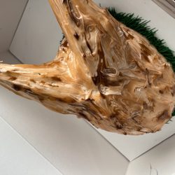 Baskin-Robbins - Gross looking turkey cake