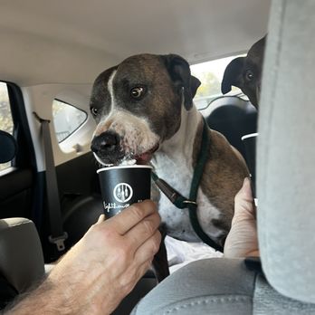 Lighthouse Coffee - Everyone gets a treat here. - Coffee & Tea Near Me - Sparks, Nevada Lighthouse Coffee - Everyone gets a treat here. - Coffee & Tea Near Me - Sparks, Nevada