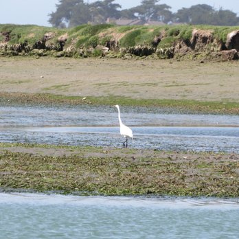 Monterey Bay Eco Tours - Boat Tours Near Me - Moss Landing, California Monterey Bay Eco Tours - Boat Tours Near Me - Moss Landing, California