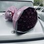 Photo of Rouge Rose