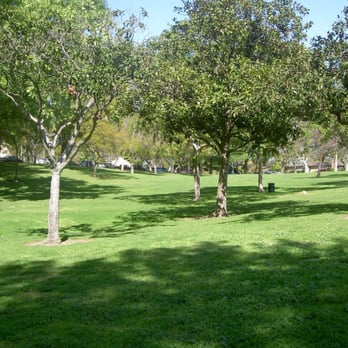Los Cerritos Park - Green hills of home - Parks Near Me - Long Beach, California Los Cerritos Park - Green hills of home - Parks Near Me - Long Beach, California