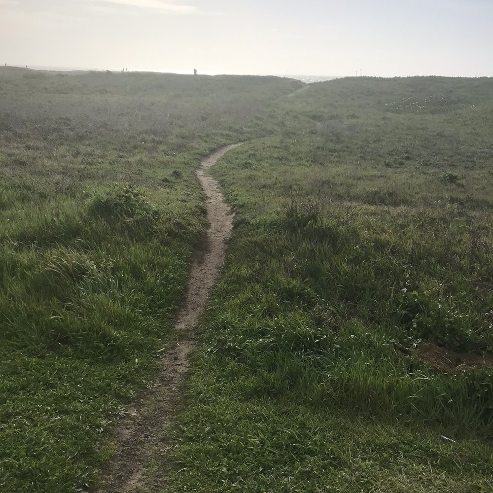 Surf and Sand Lodge - Beach access path - Hotels Near Me - Fort Bragg, California Surf and Sand Lodge - Beach access path - Hotels Near Me - Fort Bragg, California
