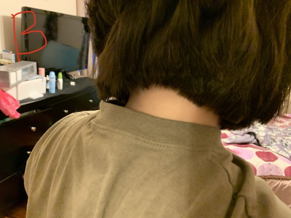 GREAT CLIPS Updated September 2024 15 Reviews 8838 N Union Blvd