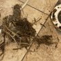 Photo of Osceola Sewer and Drain Cleaning