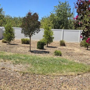Hats Off Landscaping+ - After - Landscaping Near Me - Stockton, California Hats Off Landscaping+ - After - Landscaping Near Me - Stockton, California