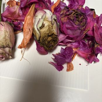 Dots by Karina - DEAD, ROTTED flowers sent to my 90 year old sister for her Birthday! - Florists Near Me - Studio City, California Dots by Karina - DEAD, ROTTED flowers sent to my 90 year old sister for her Birthday! - Florists Near Me - Studio City, California