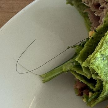 Air Canada Maple Leaf Lounge - Disgusting found hair in my wrap. - Airport Lounges Near Me - Richmond, British Columbia
