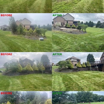 Rebel Roots Landscaping - Backyard Reset (Tree removals, hedge trimming, weed removal, brush removal & removal of pea gravel from within the flagstone joints!) - Lawn Services Near Me - West Newton, Pennsylvania Rebel Roots Landscaping - Backyard Reset (Tree removals, hedge trimming, weed removal, brush removal & removal of pea gravel from within the flagstone joints!) - Lawn Services Near Me - West Newton, Pennsylvania