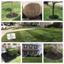 Photo of Indy Lawn Maintenance