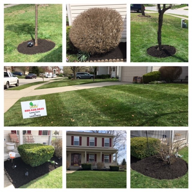 Indy Lawn Maintenance - tree service in Indianapolis, IN