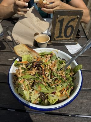 Blue Barn Steiner by null