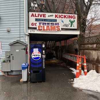 Alive & Kicking Lobsters - Hole in wall between houses - Seafood Near Me - Cambridge, Massachusetts