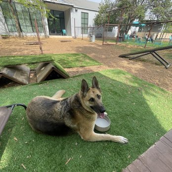 Neighbors - Free water bowls - Dog Parks Near Me - Austin, Texas
