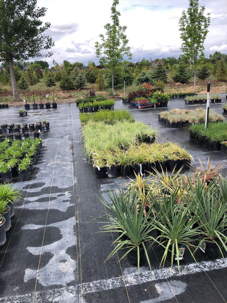 ARBOR FARMS NURSERY Updated September 2024 16761 N Idaho Ctr Blvd, Nampa, Idaho Nurseries