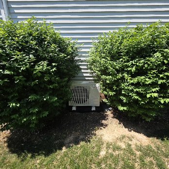 Quality Lawn Care Service - Fugly old bushes before - Landscaping Near Me - Waynesboro, Virginia Quality Lawn Care Service - Fugly old bushes before - Landscaping Near Me - Waynesboro, Virginia