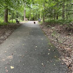Rockwood Park - Willow on the main page trail working on her recall command