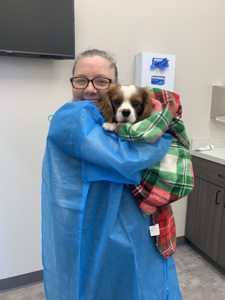 TRUBOND VETERINARY CENTER 17 Photos & 25 Reviews 3825 Glade Rd