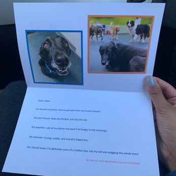Dogtopia - Pet Services Near Me - San Marcos, California