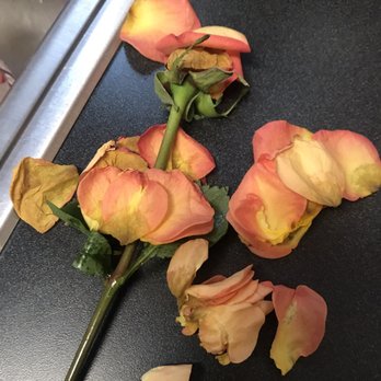 Williams Flower & Gift - Florists Near Me - Port Orchard, Washington Williams Flower & Gift - Florists Near Me - Port Orchard, Washington