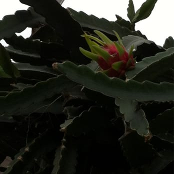 Behind the Seeds - Tours Near Me - Orlando, Florida