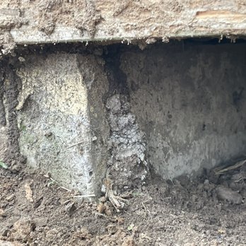 Dirty Deeds Pest Control - Termite tunnel under house on piers - Pest Control Near Me Dirty Deeds Pest Control - Termite tunnel under house on piers - Pest Control Near Me