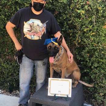 Master Dog Training - Jaxon and Michael on Grad Day! - Pet Training Near Me - Temple City, California