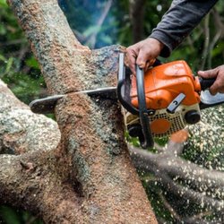 B&M Tree Service