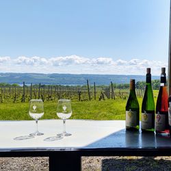 Airy Acres Vineyard
